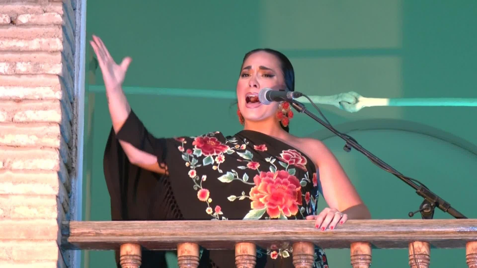 va flamenco alhambra