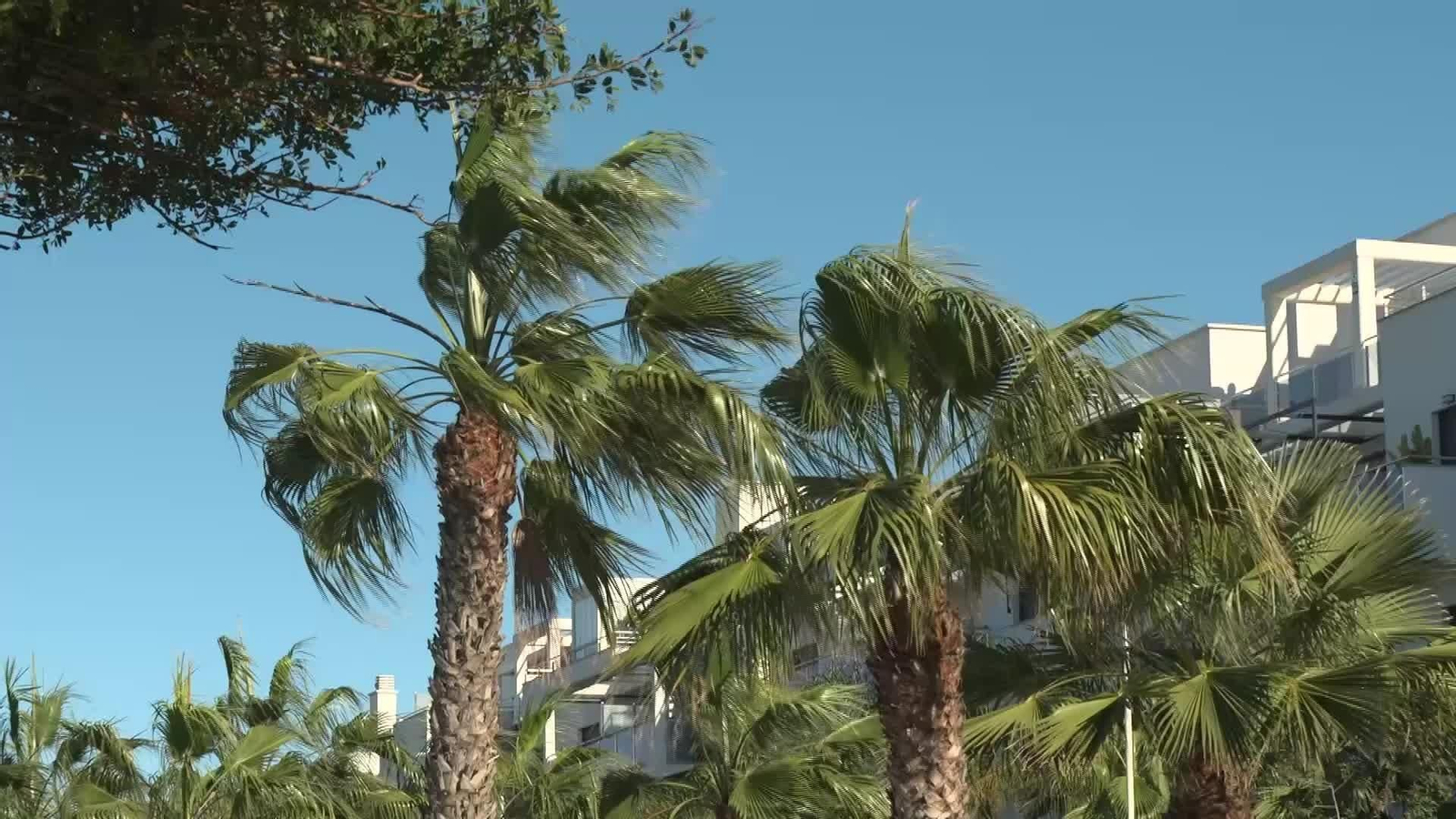 V054-GRANADA AVISO VIENTO