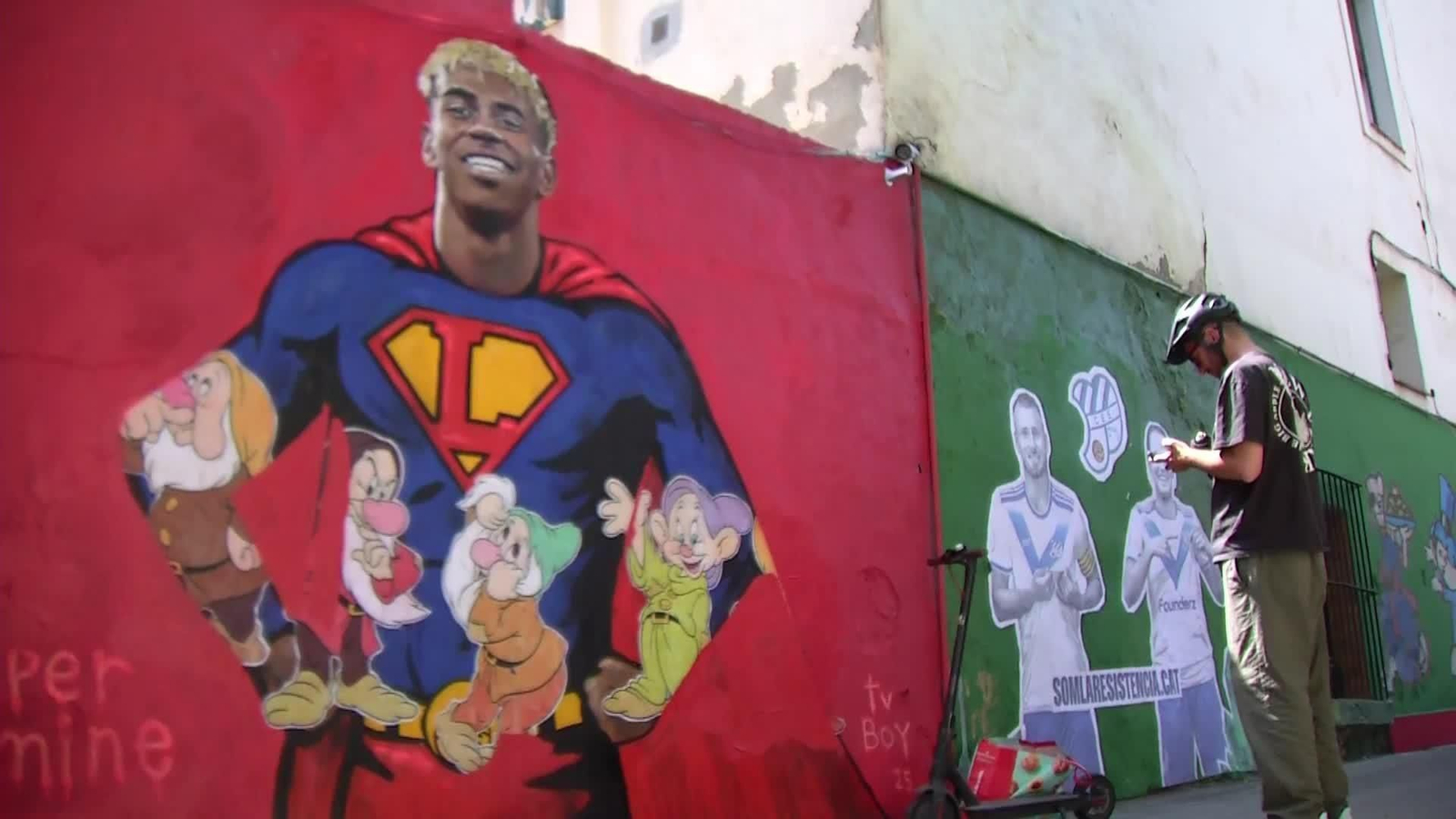 va mural lamine