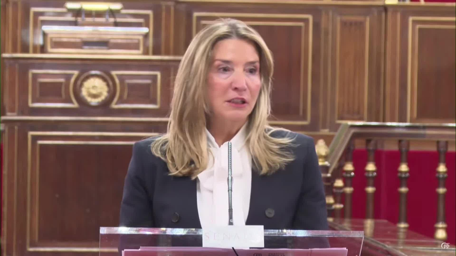 va alicia garcia senado cerdan comision