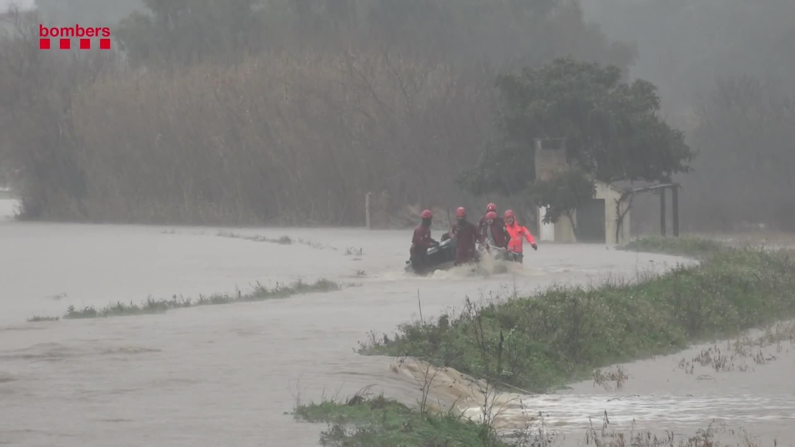 M077-GIRONA MOSSOS BORRASCA HARRIS