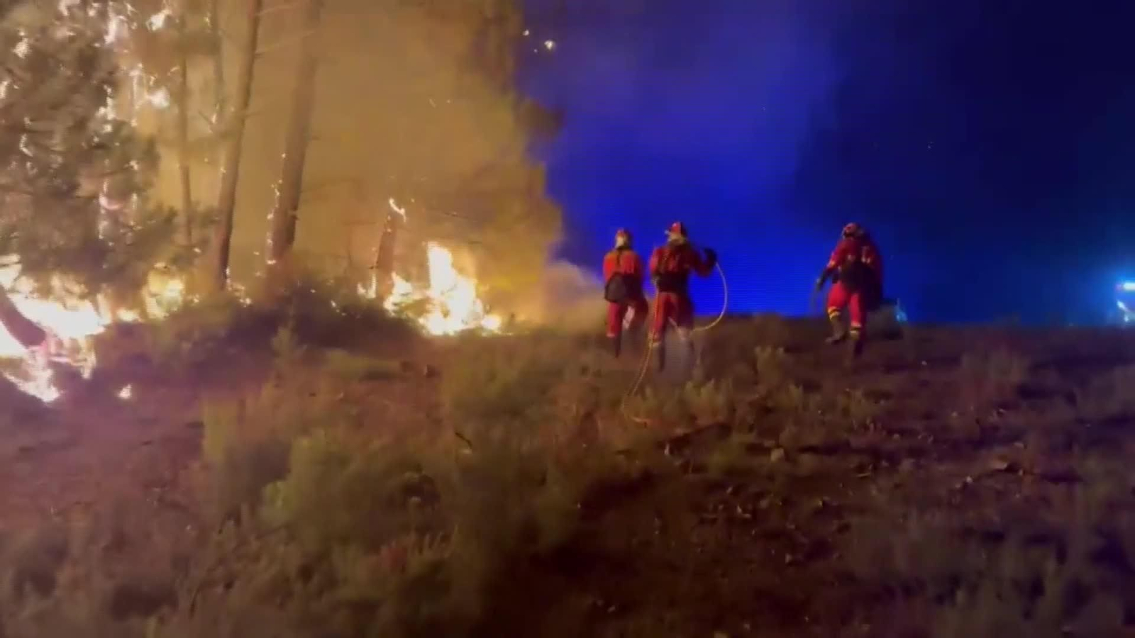 L063-EDI VARIOS BALANCE FORESTALES