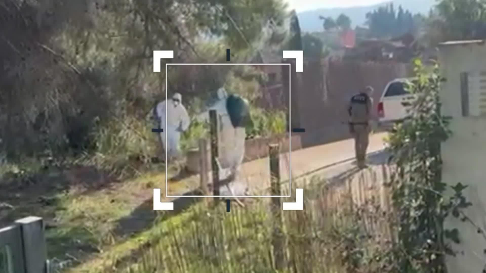 web origen del brote