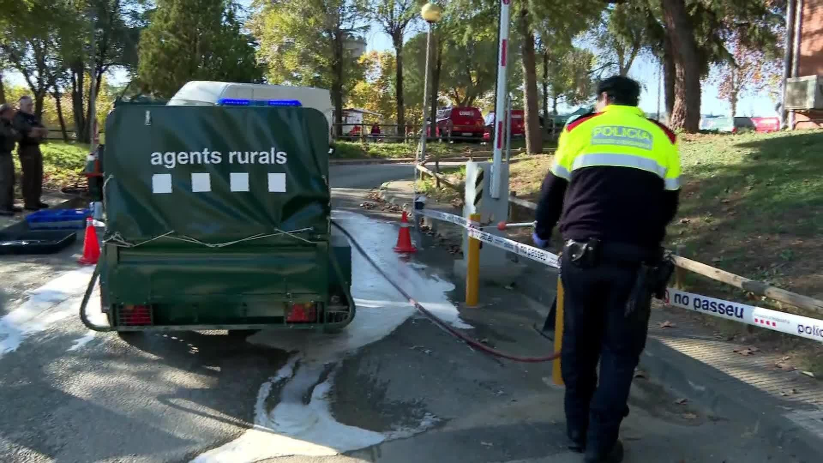L061-EDI-BARCELONA SITUACION PESTE PORCINA OK