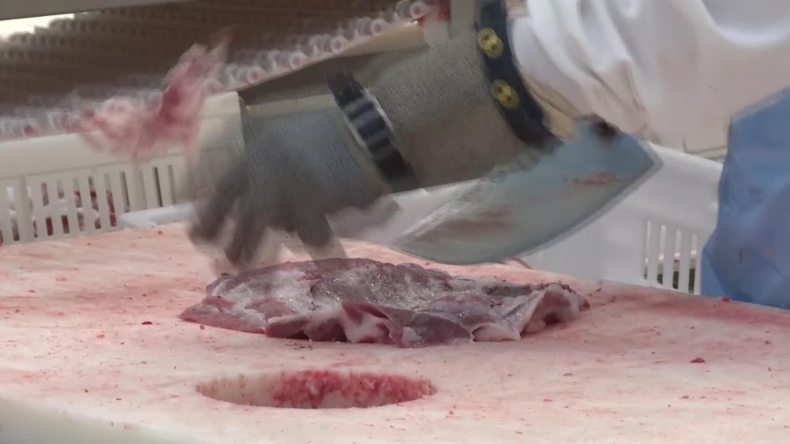 J067-EDI BARCELONA TEMPORALES CARNICOS SIN TRABAJO