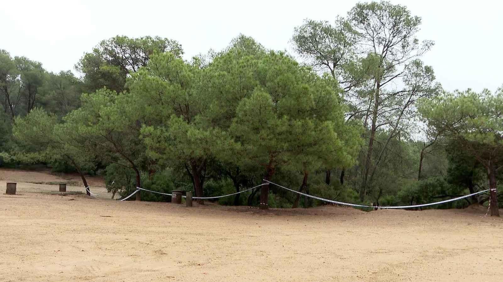 L029-VARIOS RELAJACIÓN RESTRICCIONES PESTE PORCINA