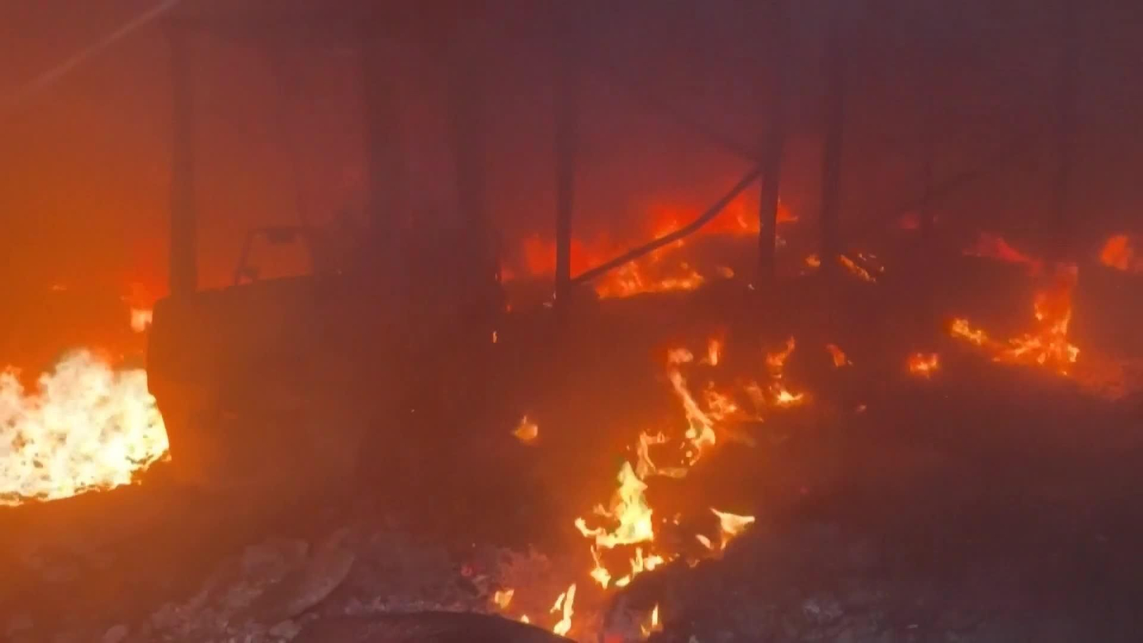 web fuego otra vez