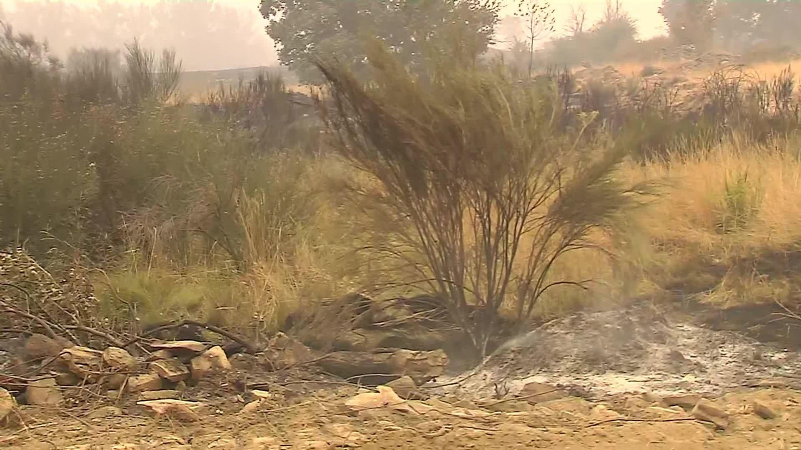 L086-LEÓN INCENDIO BUSNADIEGO TARDE