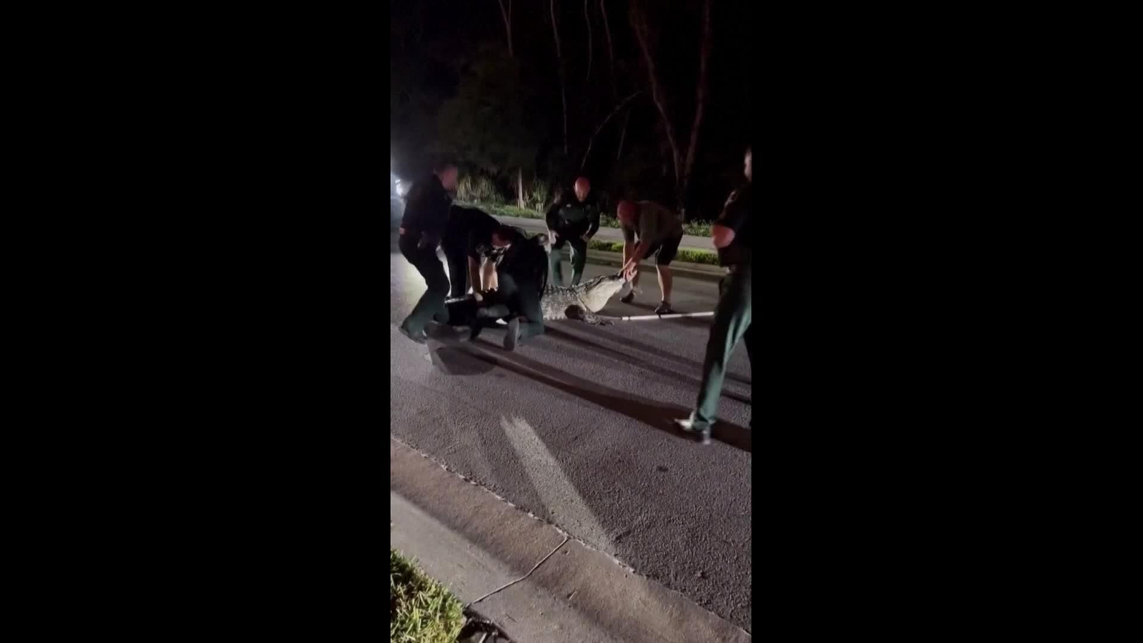 S005-EEUU POLICIA ATRAPA CAIMAN