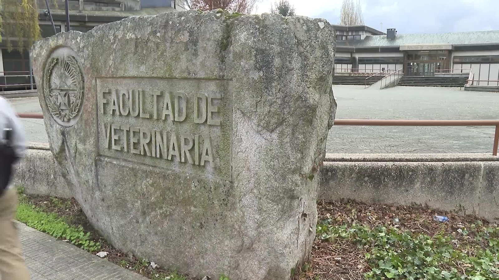 M001-EDI-LUGO FALTAN VETERINARIOS