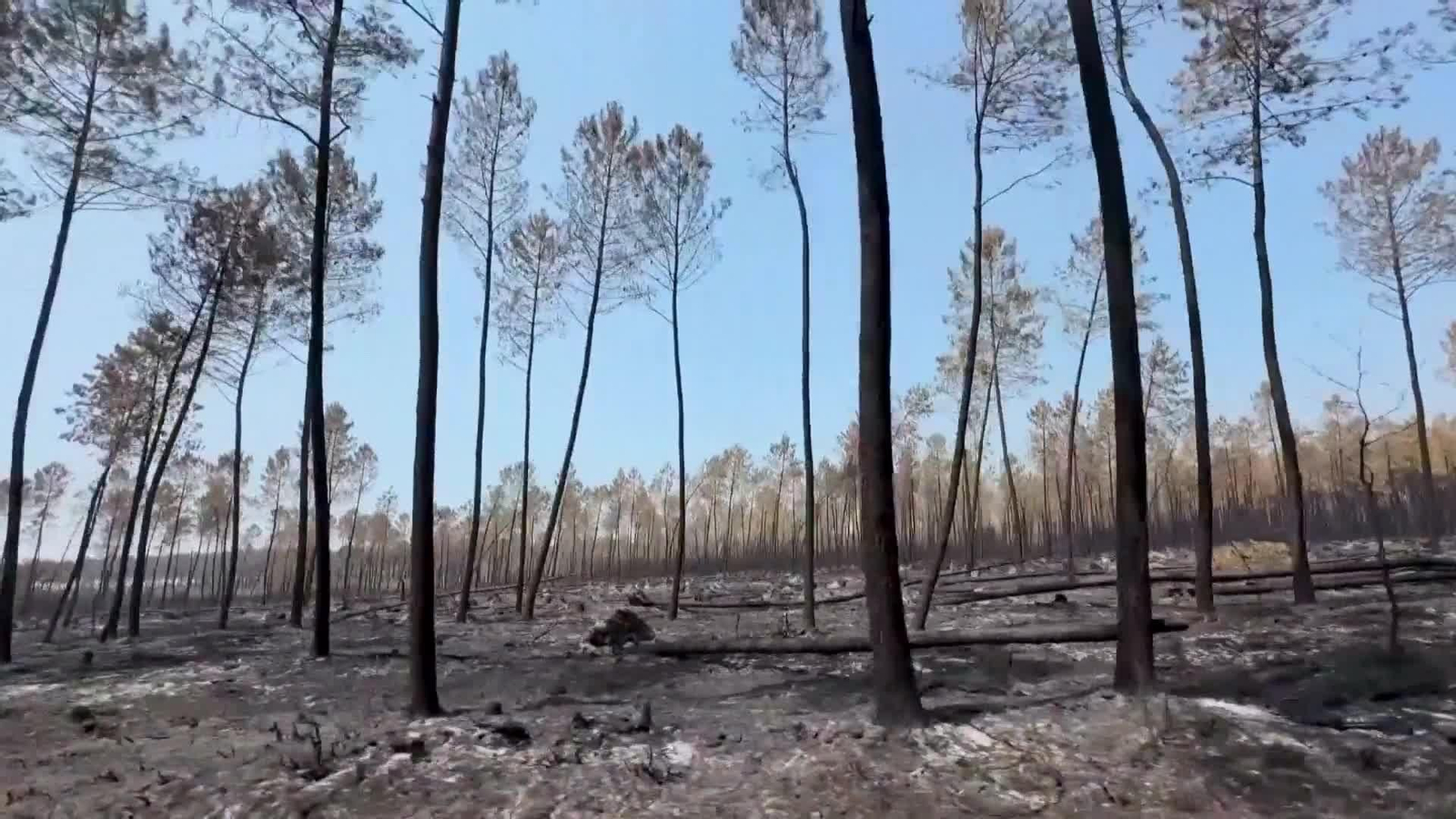 X064-FRANCIA VARIOS INCENDIOS