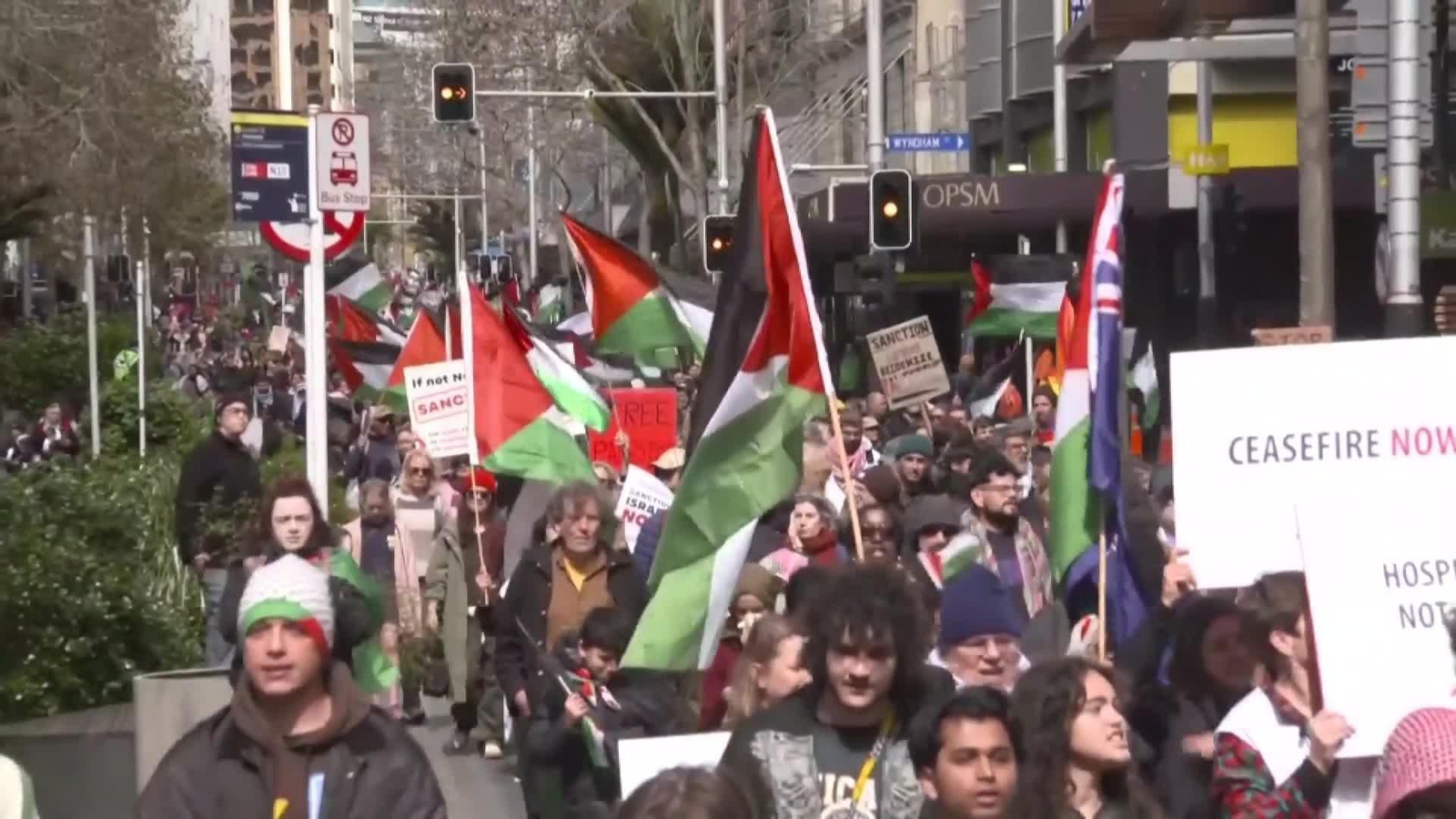 va marcha propalestina nueva zelanda