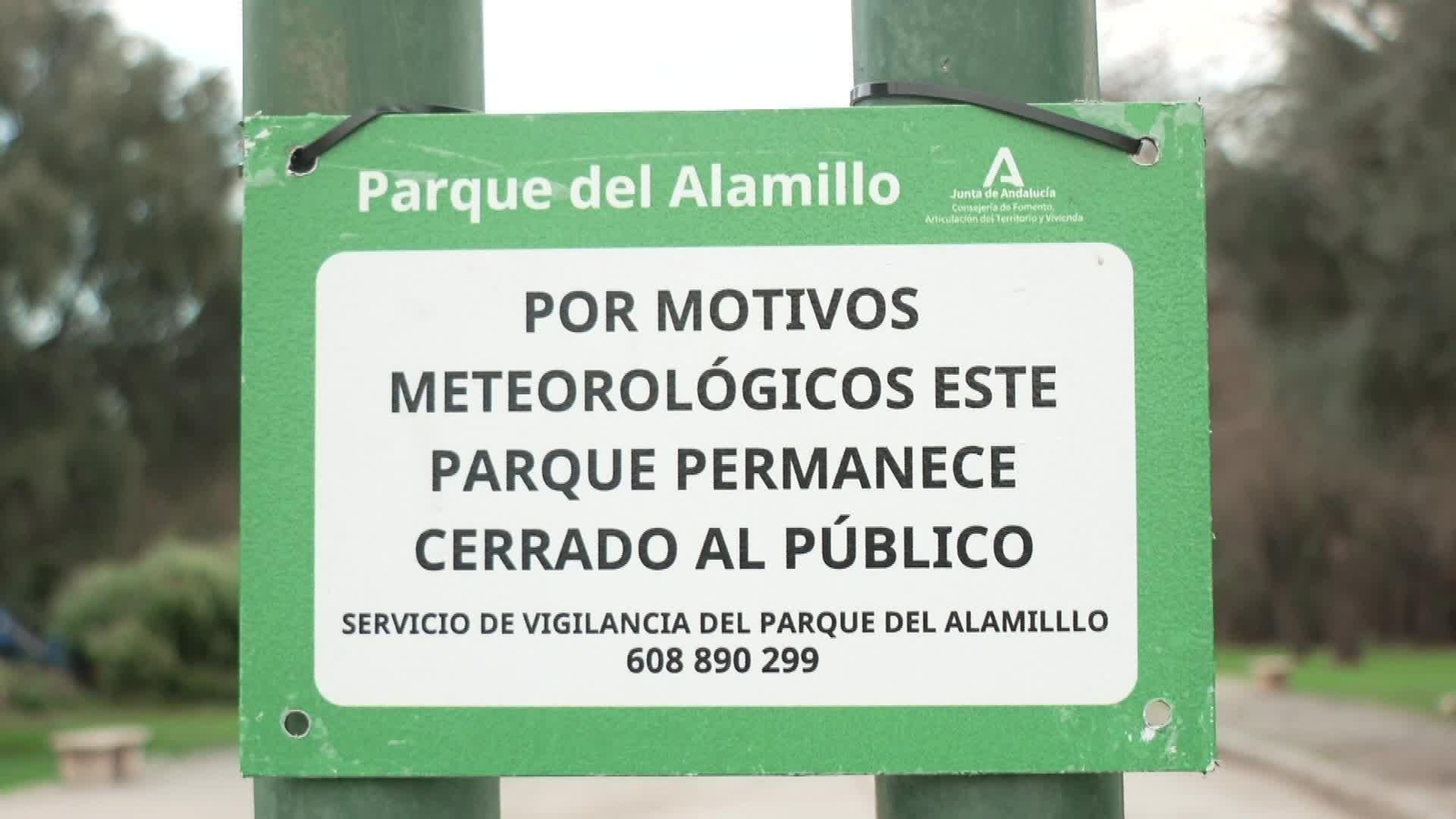 M050-SEVILLA REUNION COMITE EMERGENCIA