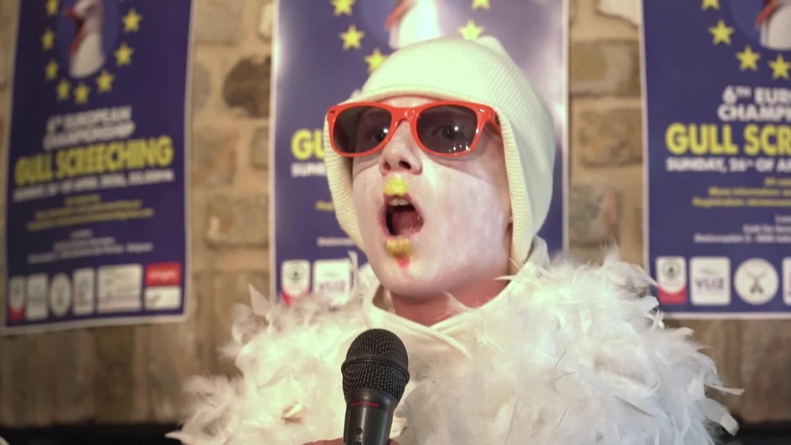 va campeonato imitadores gaviotas