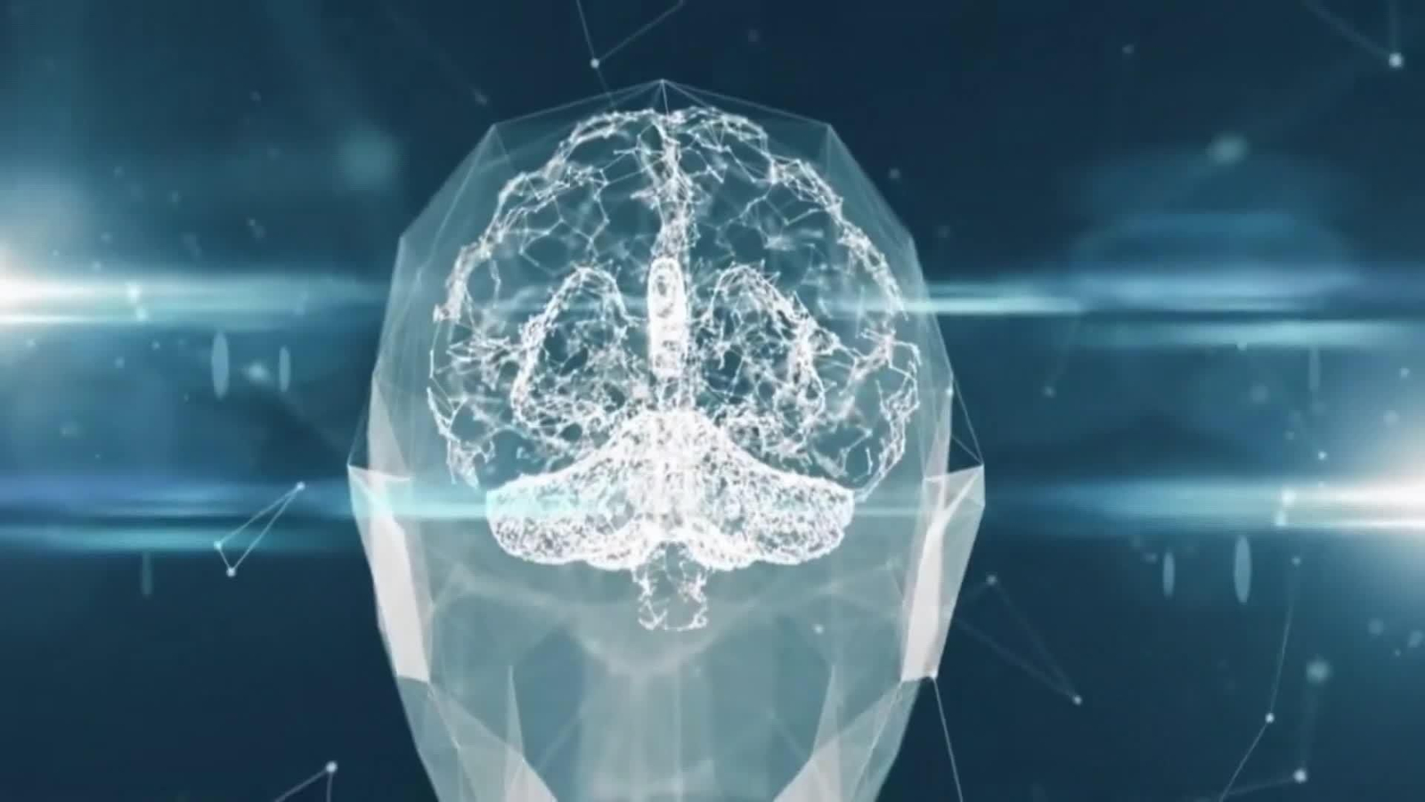 web idiomas y cerebro