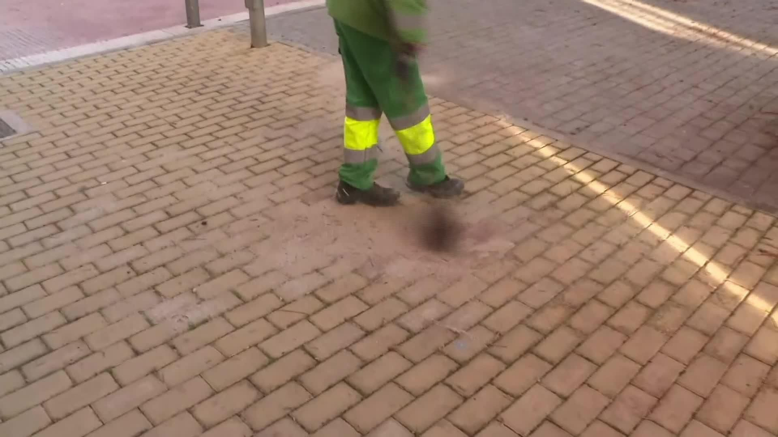 L035-MADRID SEGUIMIENTO CASO VIOLENCIA GENERO TORREJON