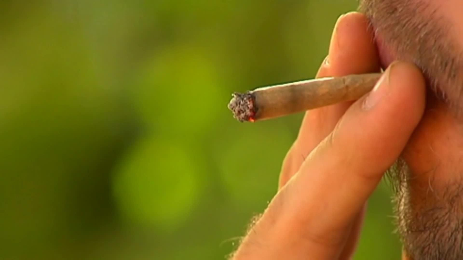 web cannabis españa