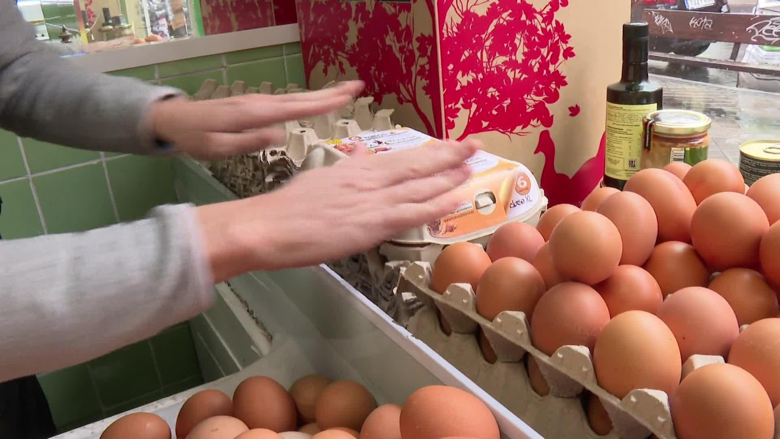 web el mundo del huevo