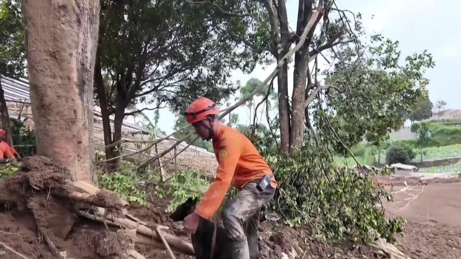 va actualizacion datos desprendimiento indonesia