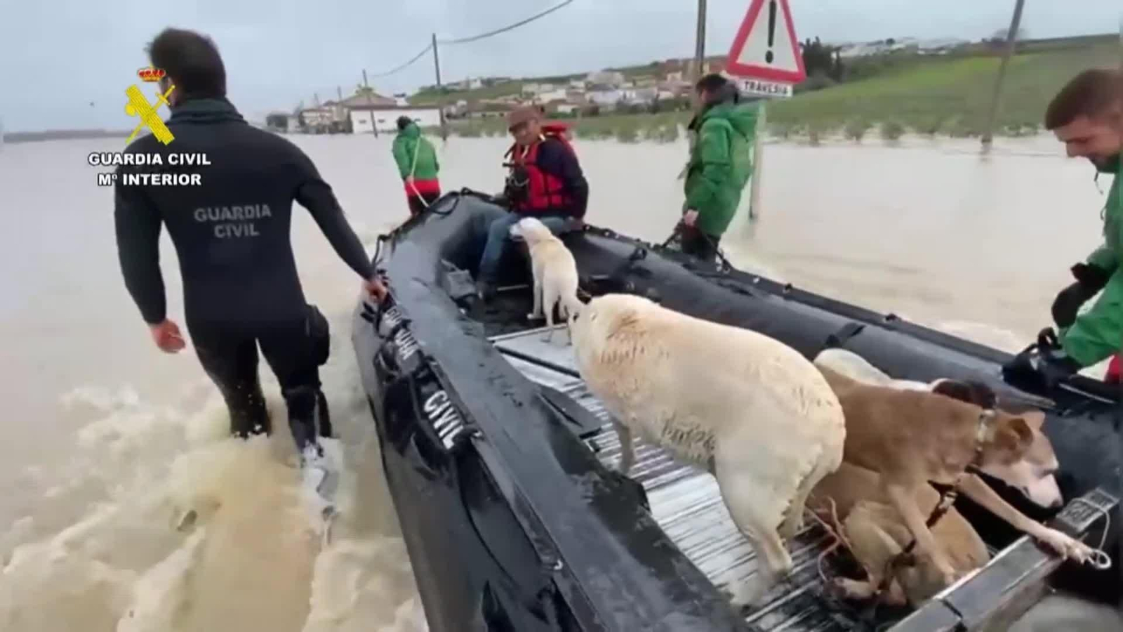 web desalojados guadalete