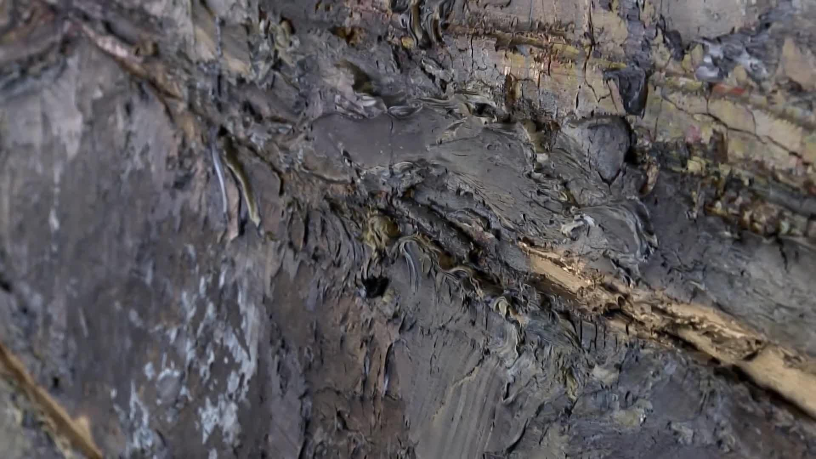 web mercadona trae a kiefer