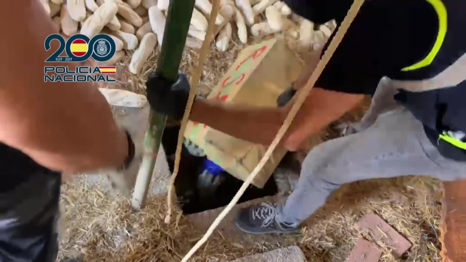 va hachis entre barras de pan