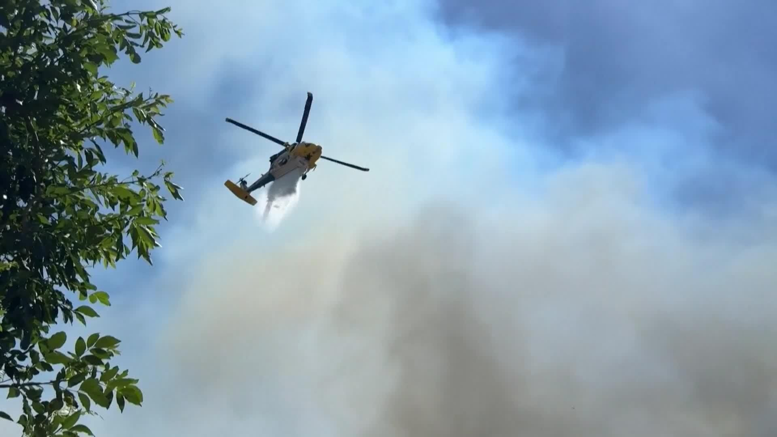 va incendiosflorida