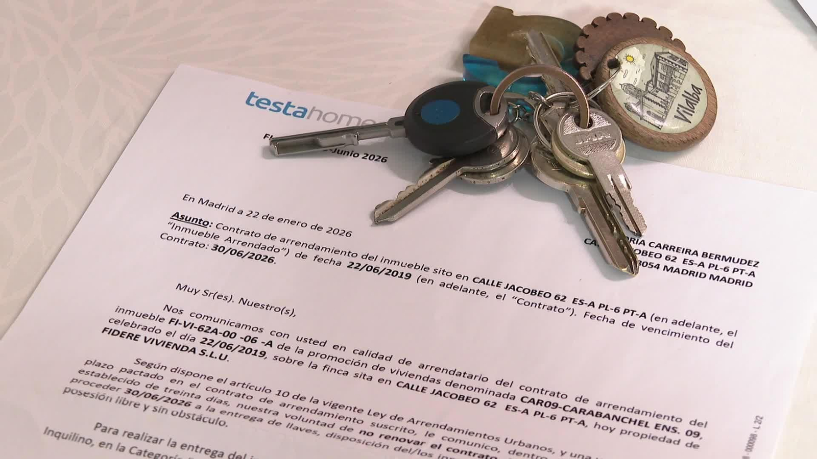 web inquilinos frente al decreto