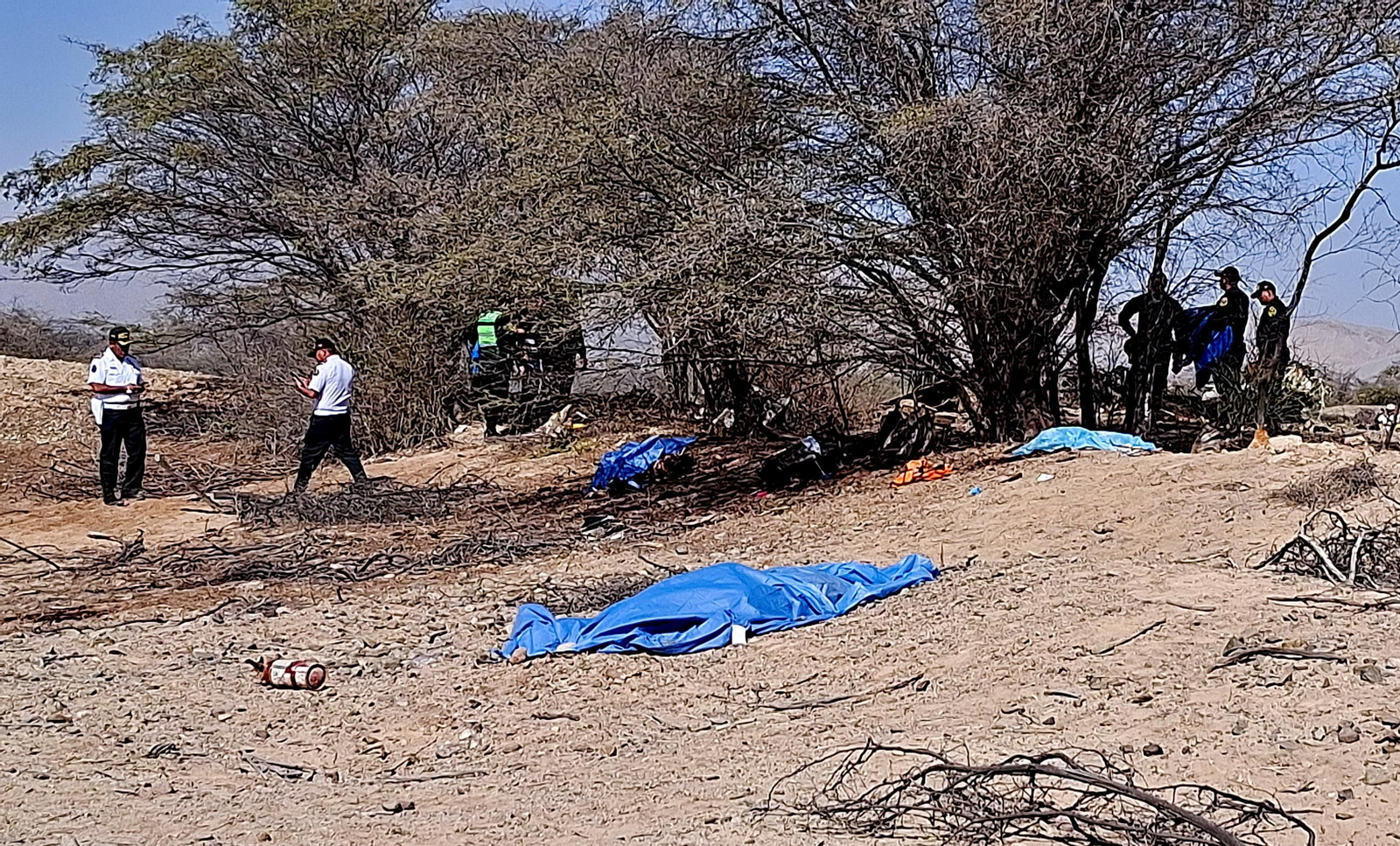 peru muertos avioneta lineas nazca