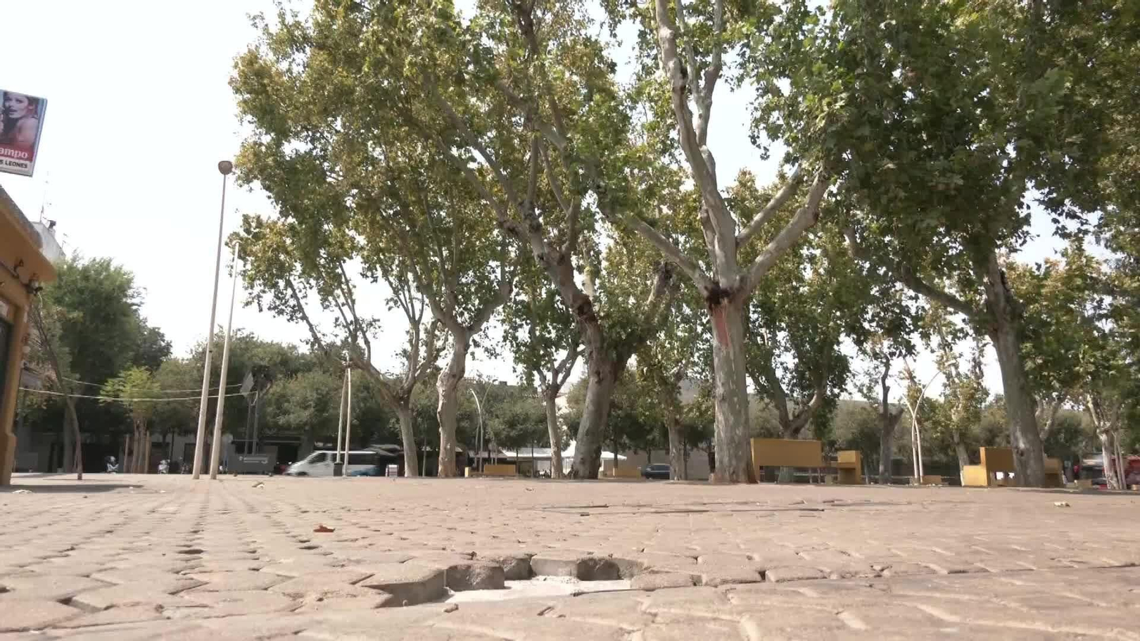 M028-SEVILLA HERIDOS CAIDA RAMA ESTRES TERMICO