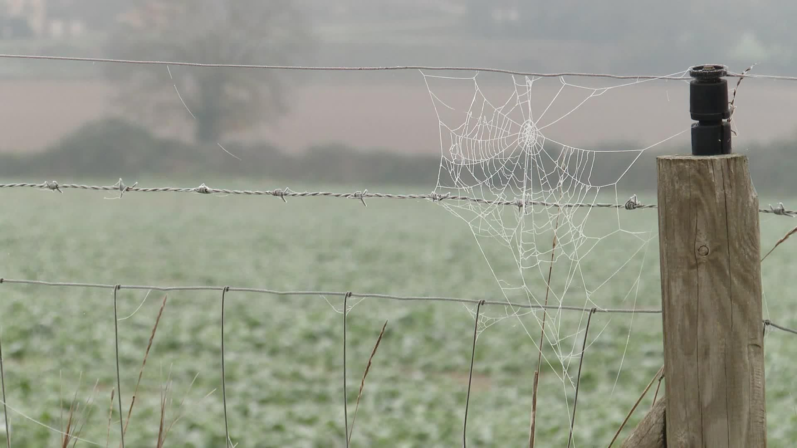 J045-VARIOS LLEGA LA NIEVE AL NORTE