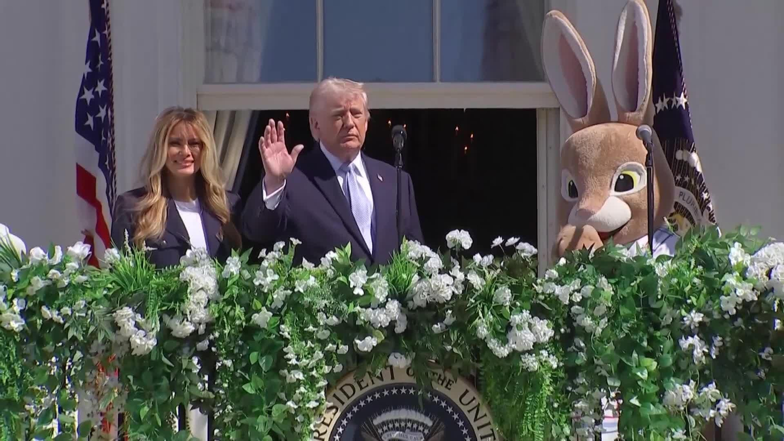 web maga contra trump