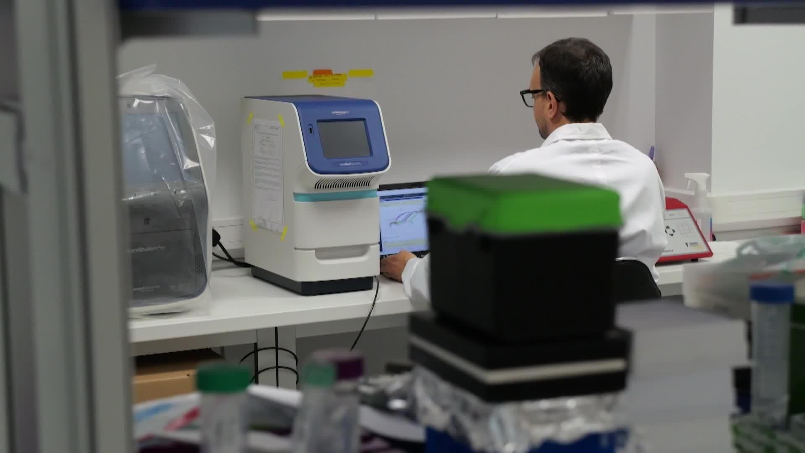 web avance embriones