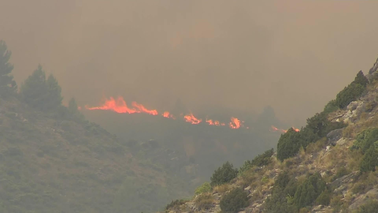 M049-EDI VARIOS COSTE INCENDIOS