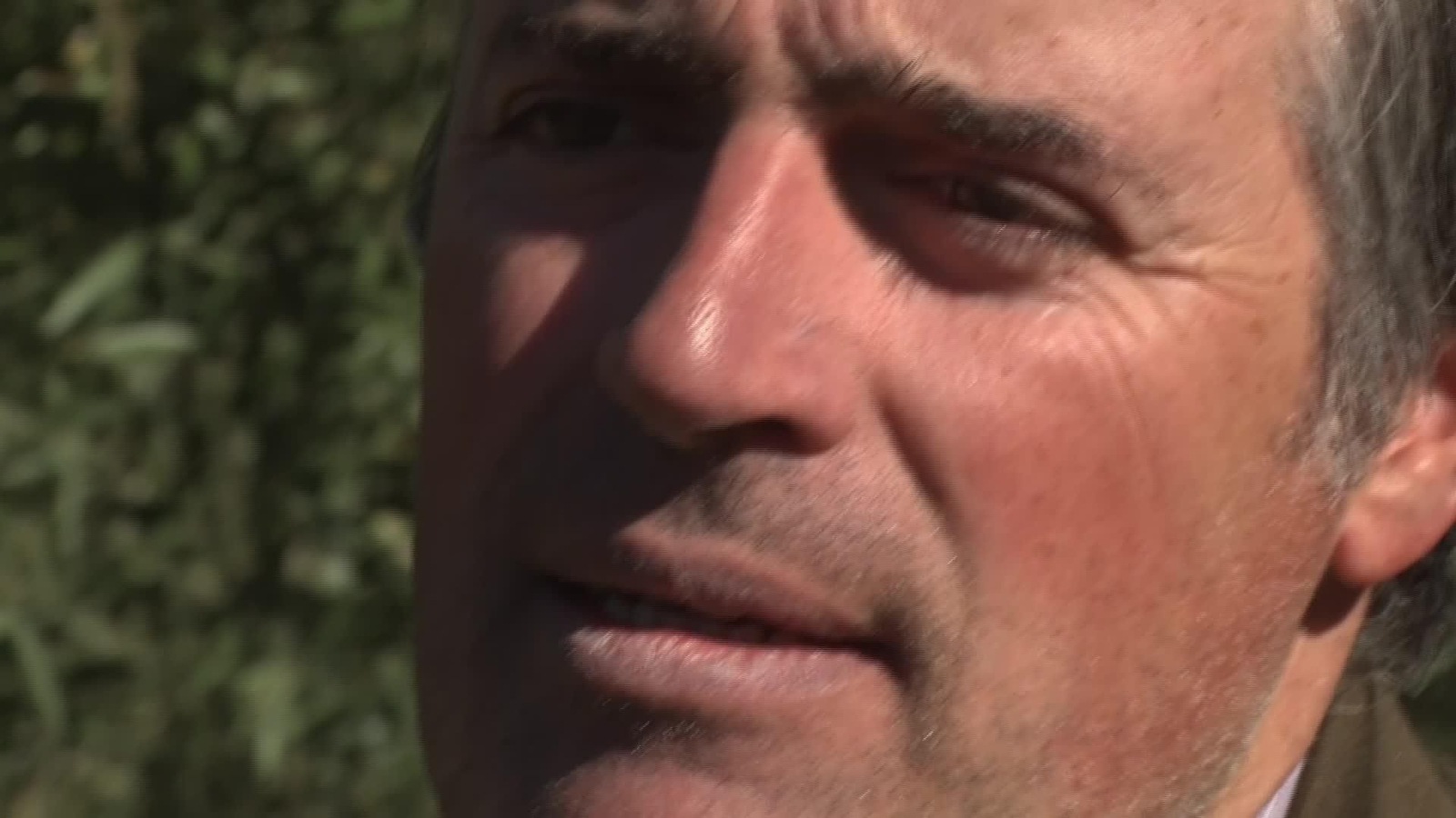 L045-JAEN OLIVAREROS BENEFICIADOS MERCOSUR