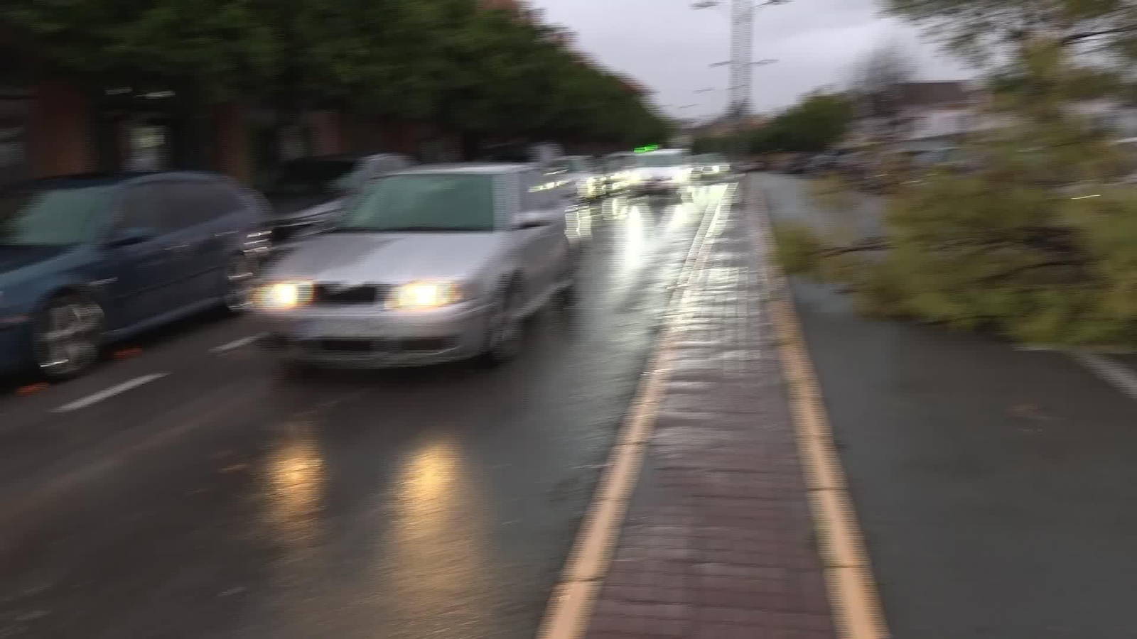 L037-SEVILLA TORMENTA Y VIENTO DERRIBO ARBOLES
