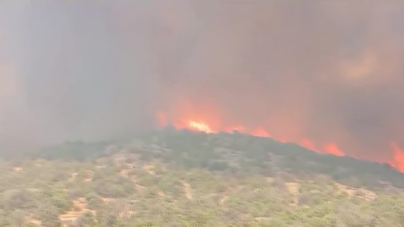 Evacuado un campamento con 50 niños por un incendio en Navaluenga, Ávila