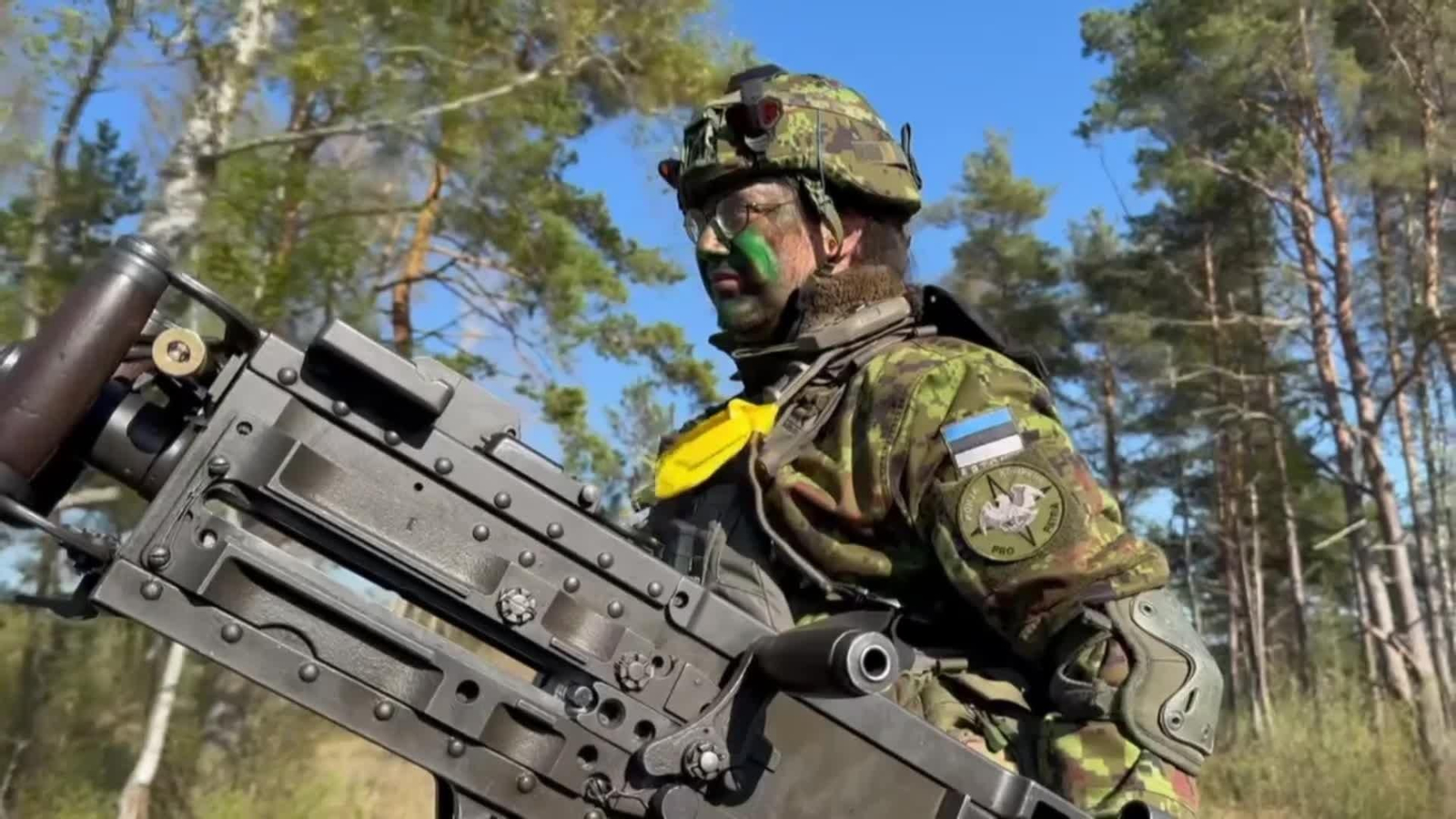 web voluntarios estonia