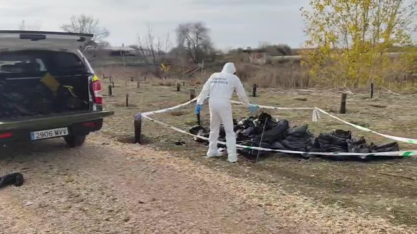 M081-MADRID AGENTES FORESTALES CIGUEÑAS GRIPE AVIAR