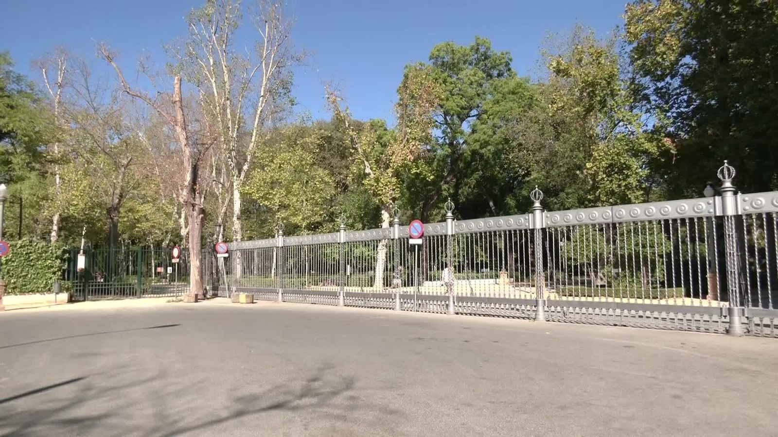 J053-SEVILLA GRIPE AVIAR