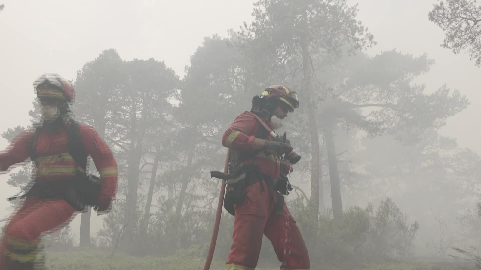 X020-GUADALAJARA INCENDIO LA MIERLA