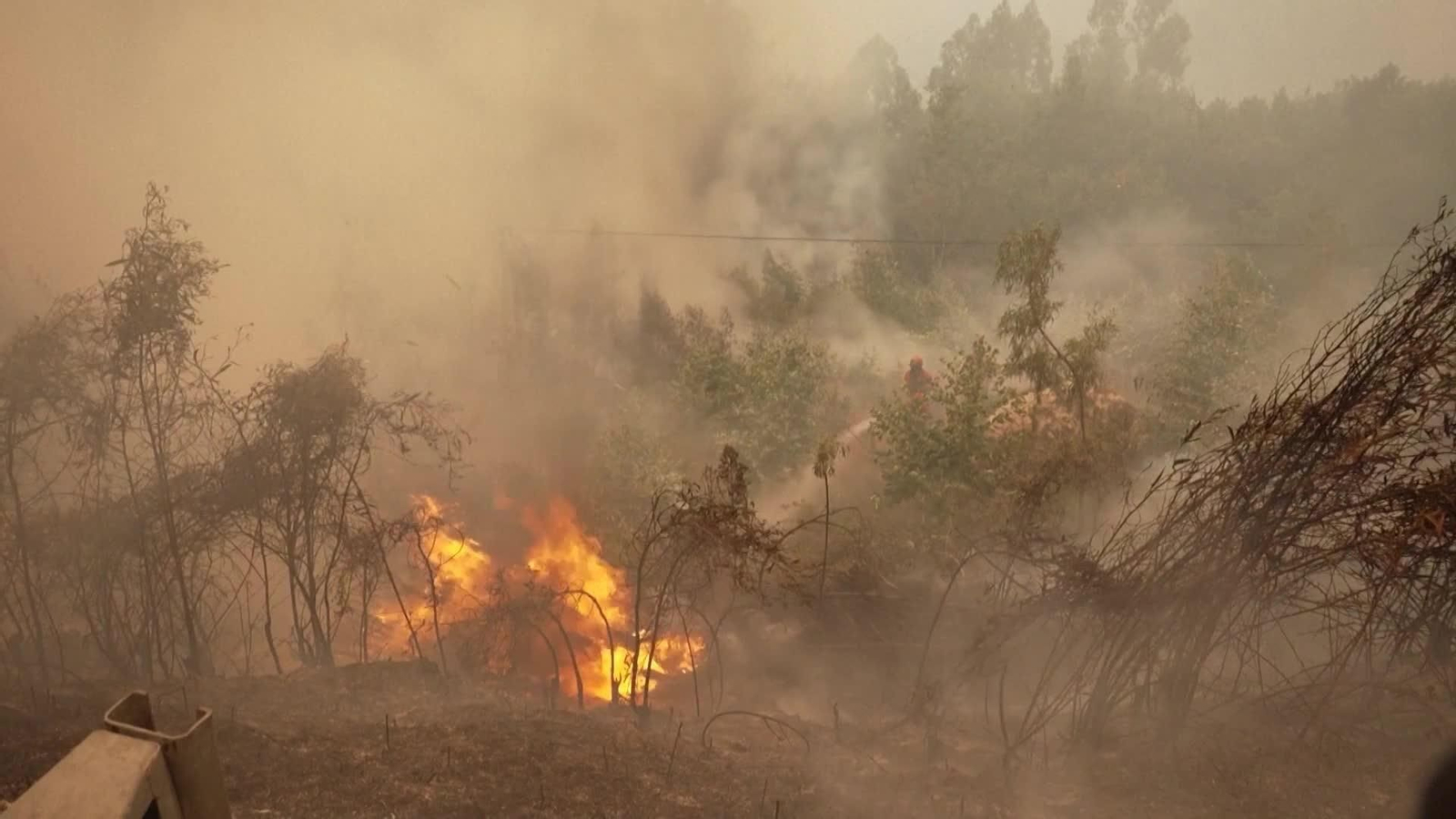 S030-PORTUGAL INCENDIO AYUDA UME ESPAÑOLA
