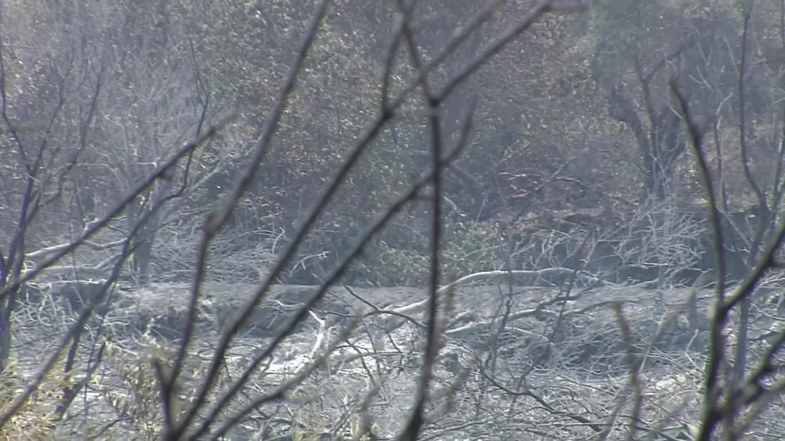 S056-CACERES INCENDIO JARILLA PUESTO MANDO