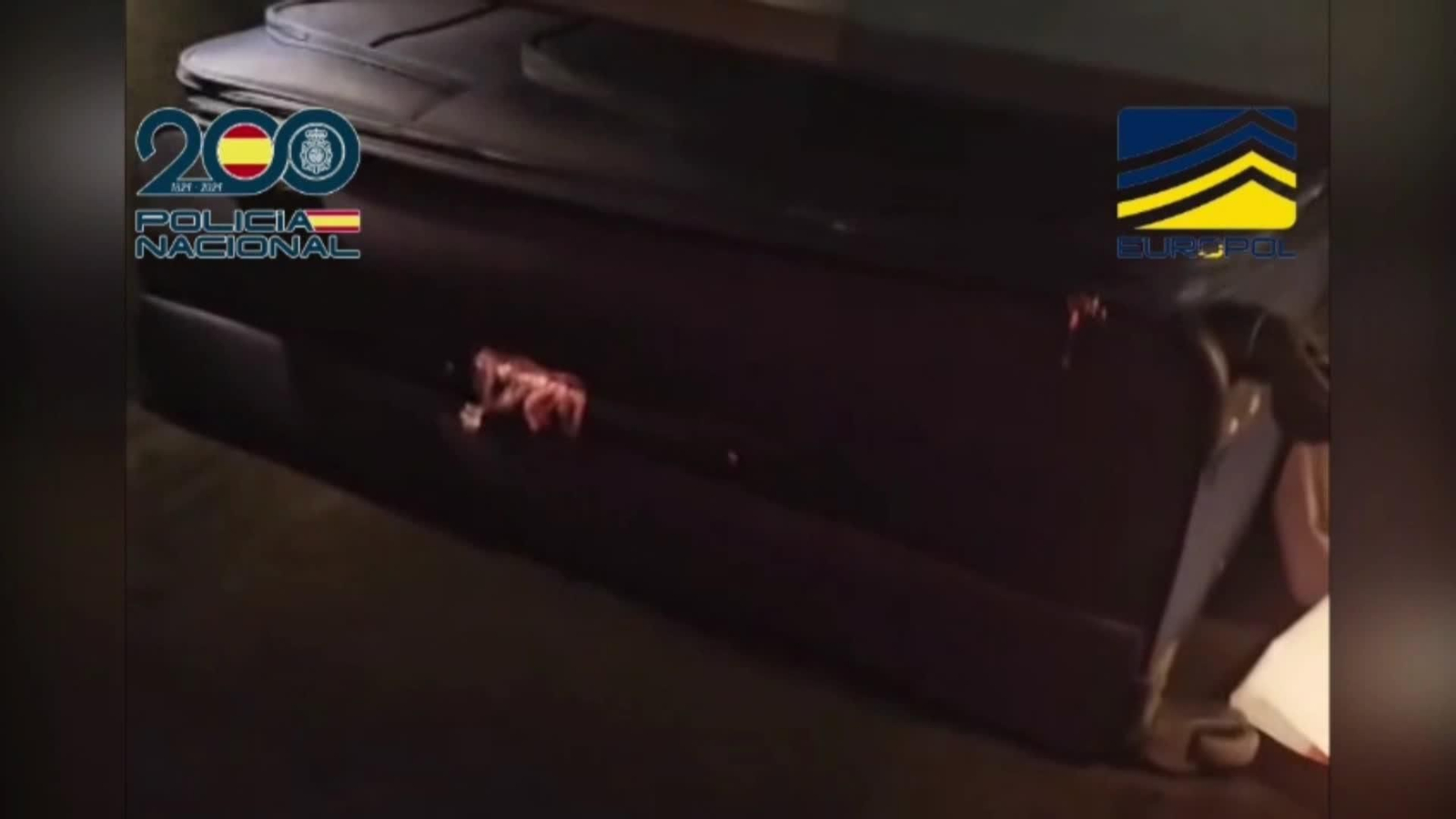 V011-IMAGENES POLICIA OPERACION TRAFICO DROGAS