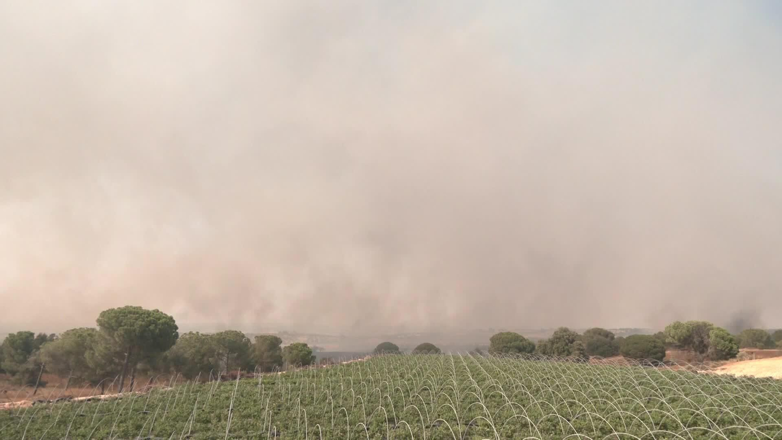 D060-HUELVA INCENDIO BONARES SEGUIMIENTO