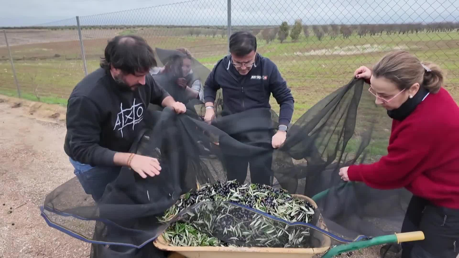 va gallardo reflexion