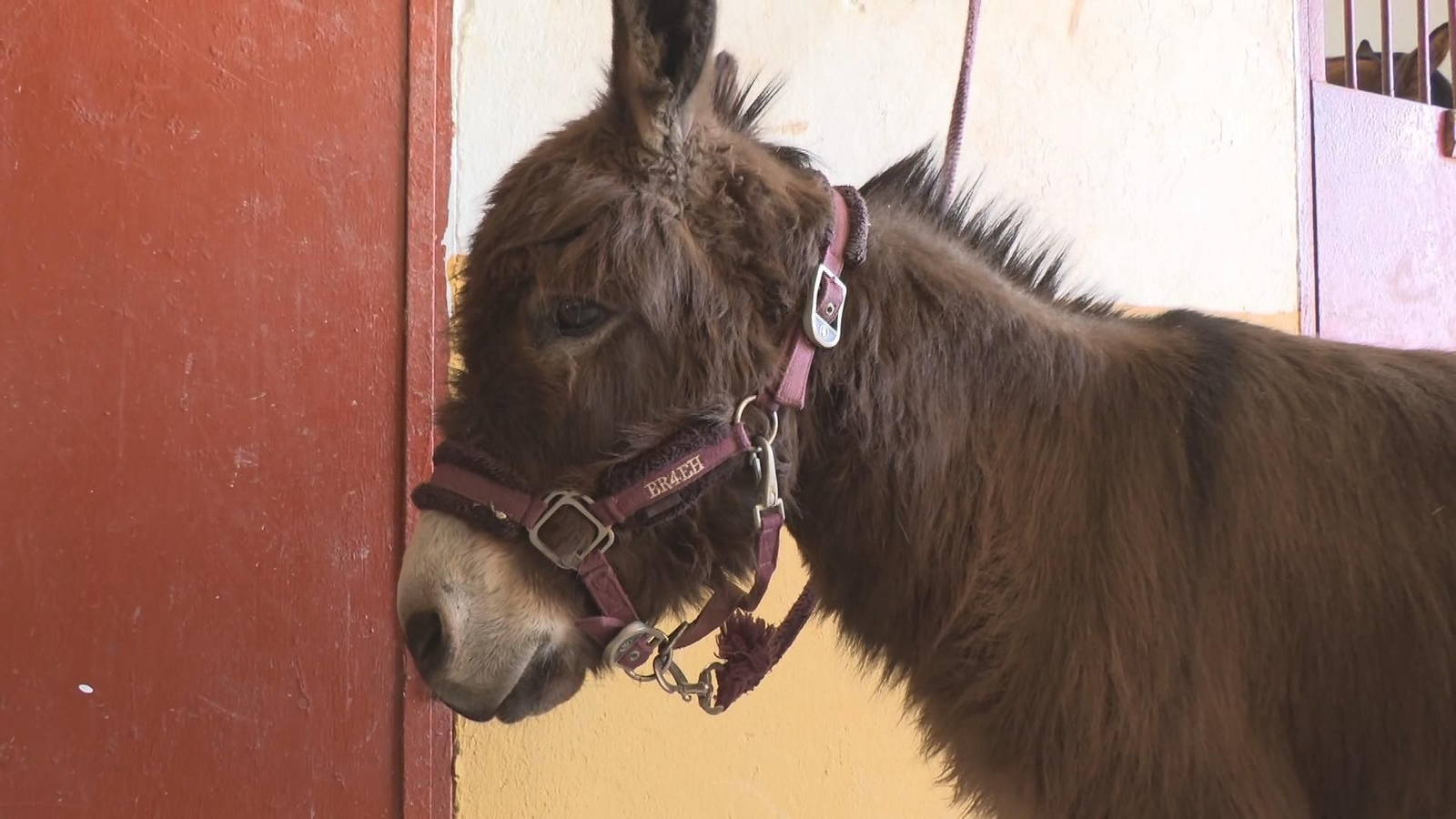 El cambio de hora altera la rutina de los animales