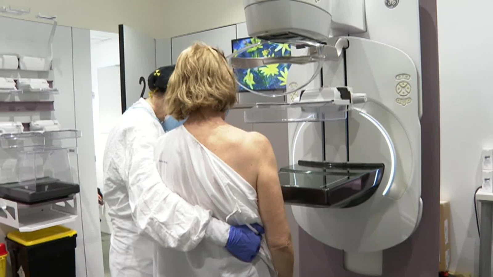 web investigacion radiografias
