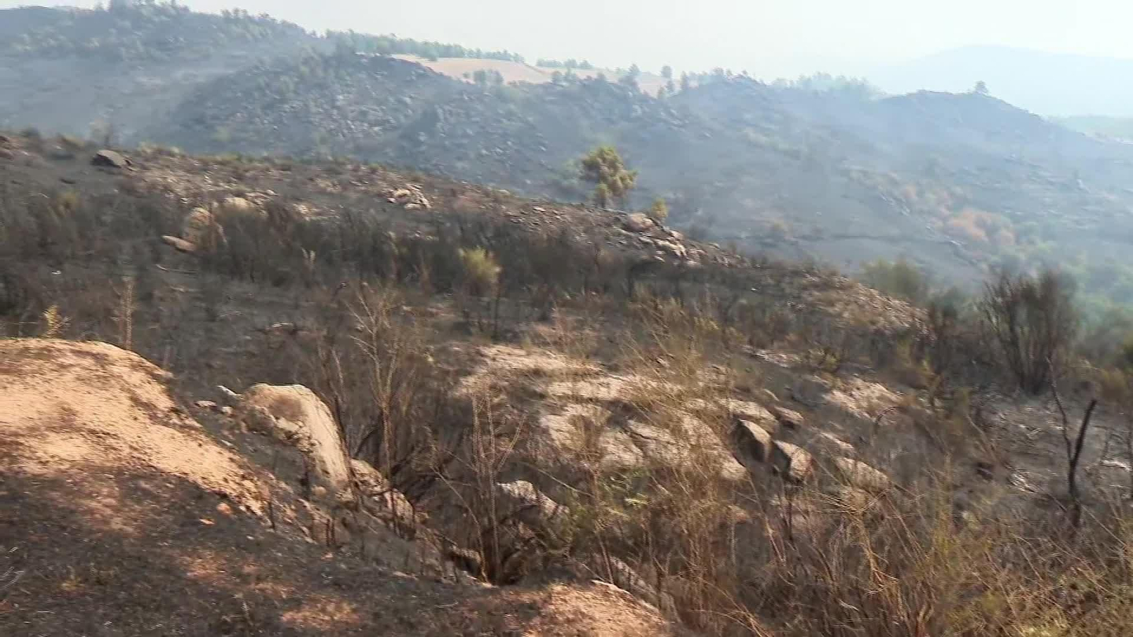 X018-OURENSE SEGUIMIENTO INCENDIO OIMBRA