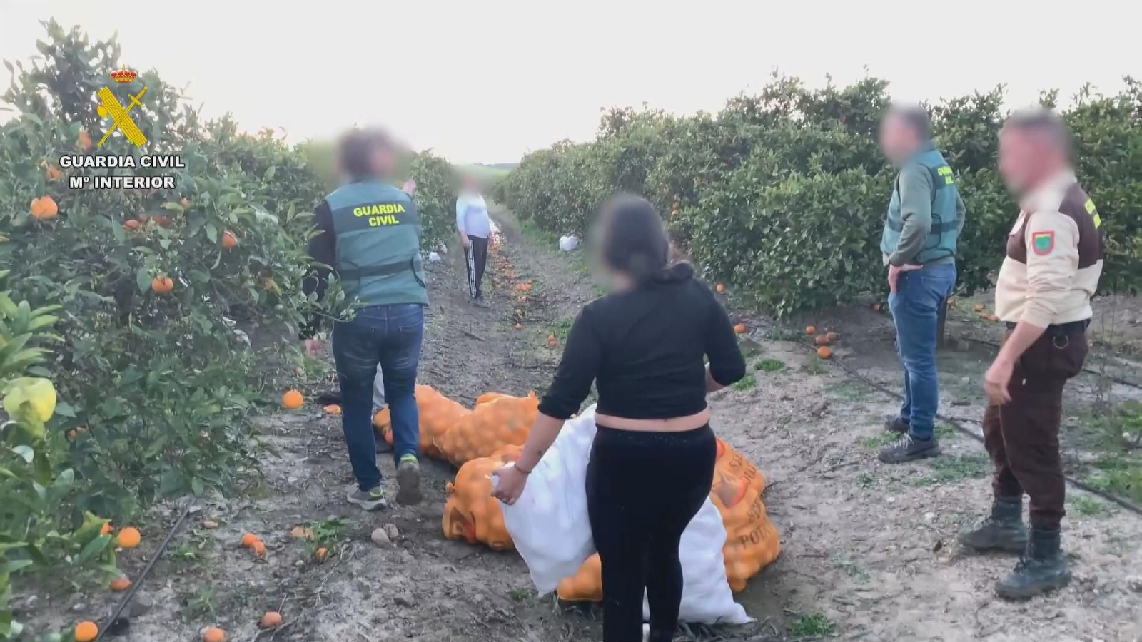 J036 IMAGENES GCIVIL ROBO NARANJAS frame 368